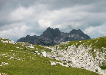 Национальный парк, Черногория. Фото 49 – фотографии Черногории