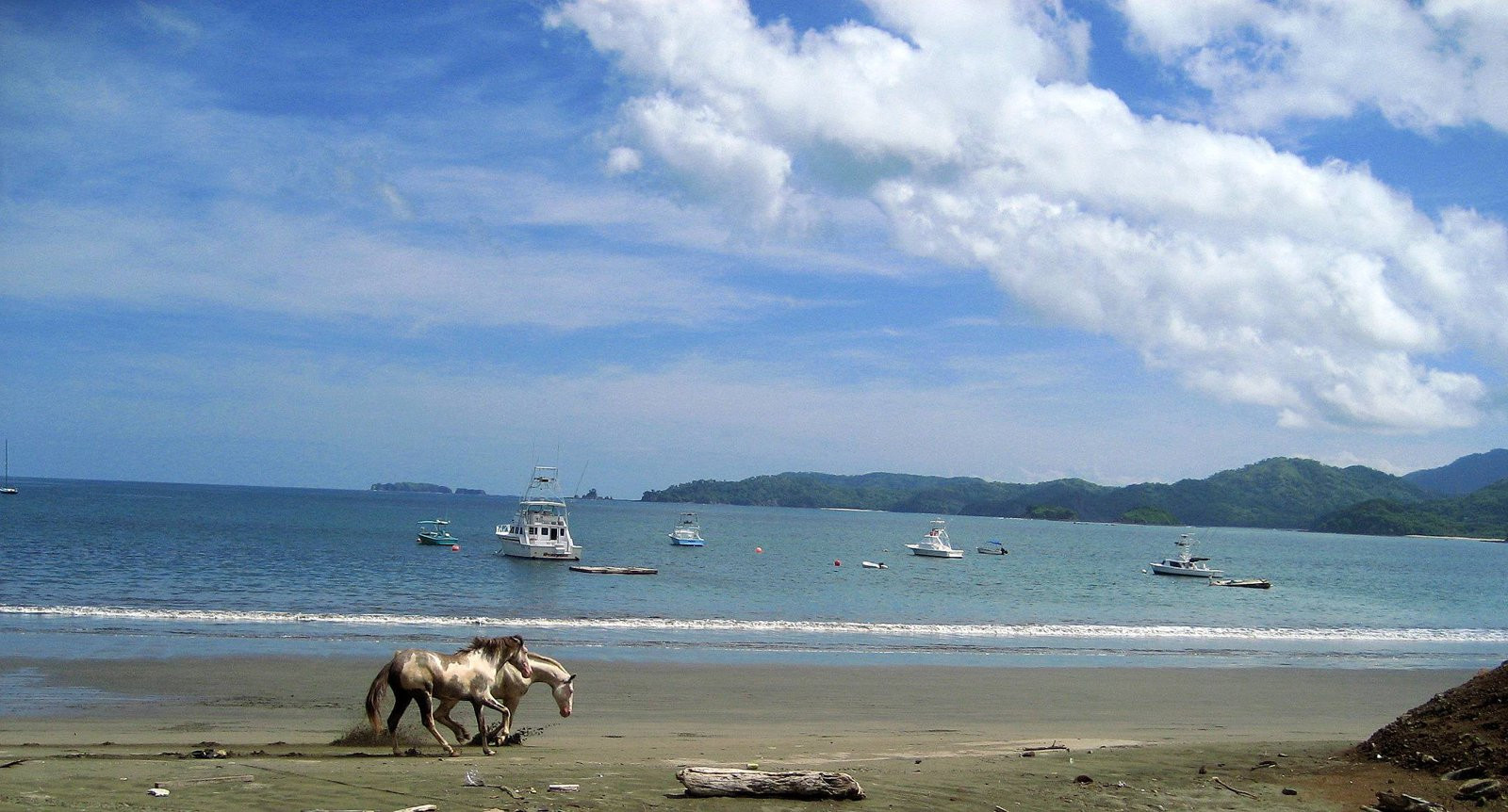 Плайя Потреро, Гуанакасте провинция, Коста-Рика, фото № 39728 – фотографии Коста-Рики