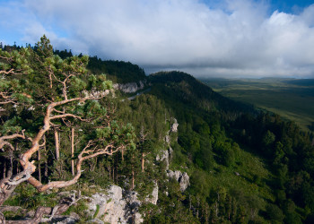 Плато Лаго-Наки в Адыгее – фотографии России
