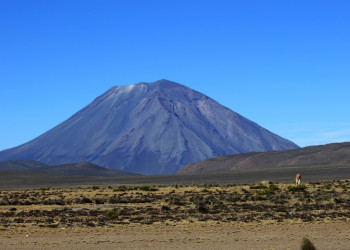 Заповедник Салинас и Агуада-Бланка – фотографии Перу