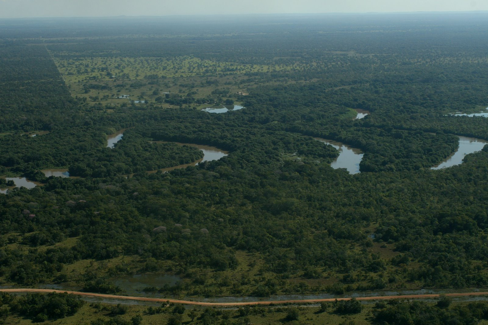 Пантанал, Бразилия, фото № 59771 – фотографии Бразилии