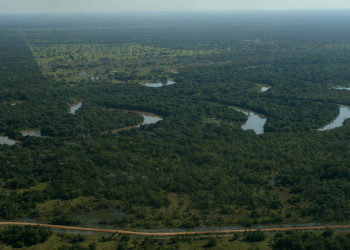Пантанал, Бразилия, фото № 59771 – фотографии Бразилии