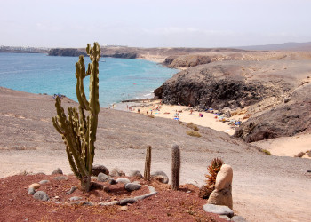 Эль-Папагайо, Лансароте остров, Канарские острова, фото № 32513 – фотографии Канарских островов