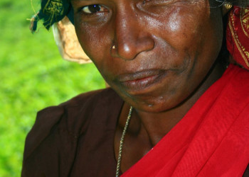 Шри-Ланка, фото № 2458 – фотографии Шри-Ланки