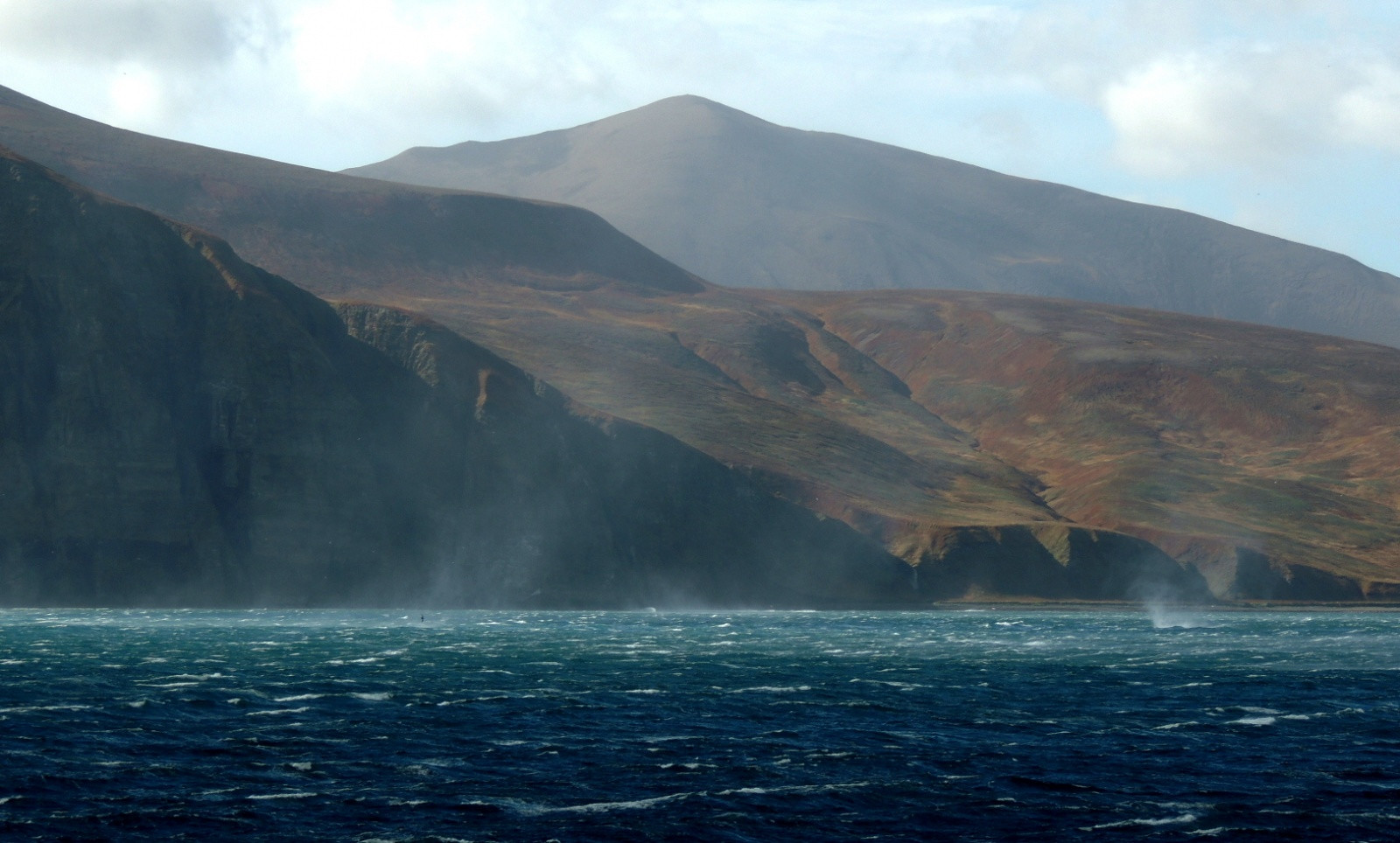 Командорские острова, Россия. Фото 18 – фотографии России