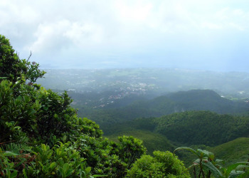 Гваделупа, фото № 3641 – фотографии Гваделупы