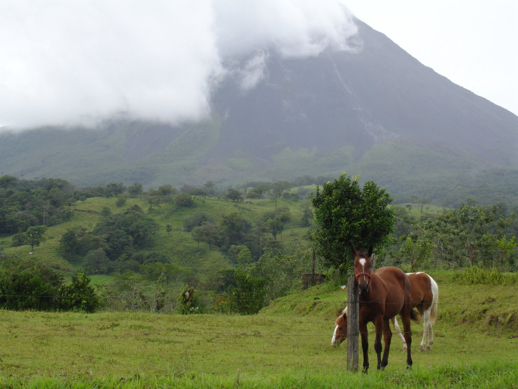 Ареналь Вулкано Национальный Парк, Алахуэла провинция, Коста-Рика, фото № 38919 – фотографии Коста-Рики