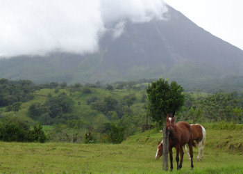 Ареналь Вулкано Национальный Парк, Алахуэла провинция, Коста-Рика, фото № 38919 – фотографии Коста-Рики
