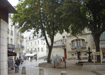 Дома в Сомюре, Франция. Фото 11 – фотографии Франции