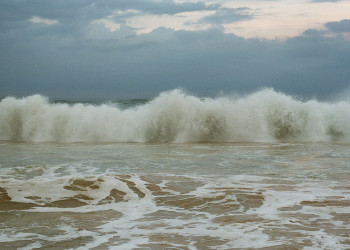 Коггала, Шри-Ланка, фото № 51574 – фотографии Шри-Ланки
