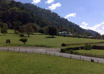 Гольфито, Пунтаренас провинция, Коста-Рика, фото № 40413 – фотографии Коста-Рики