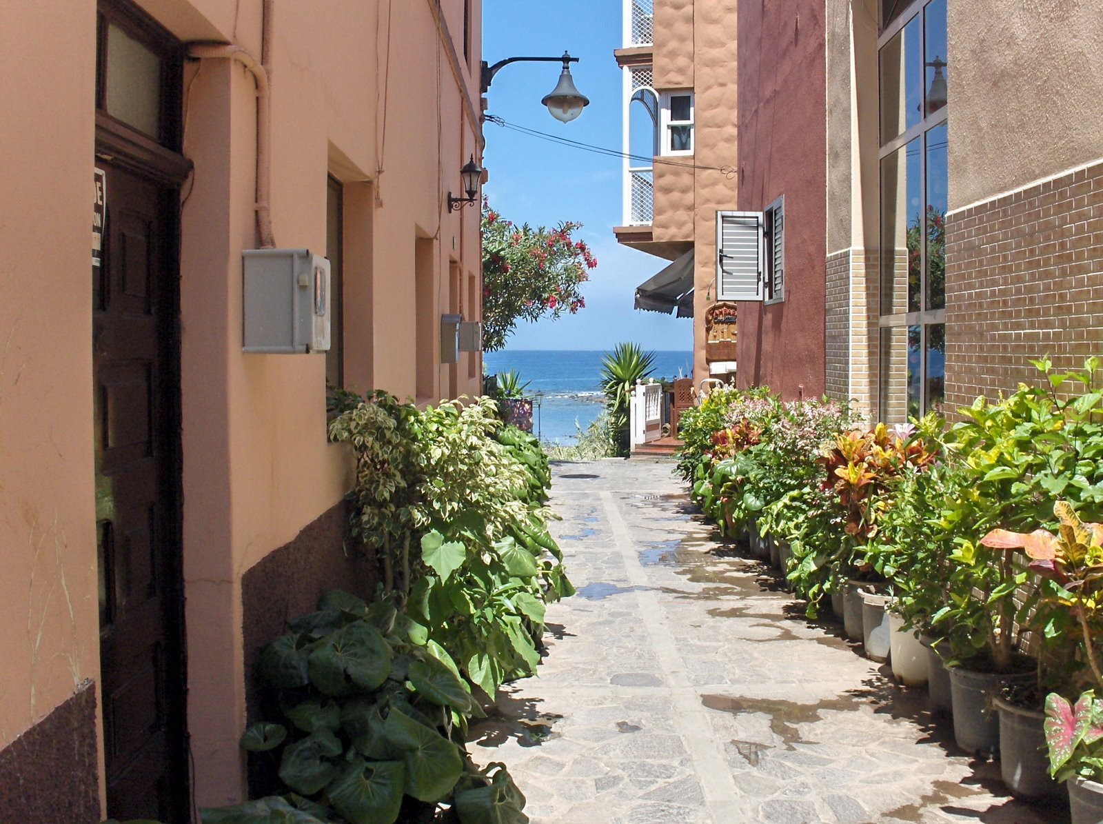 Вуэлтас, Валье-Гран-Рей, Ла-Гомера остров, Канарские острова, фото № 31593 – фотографии Канарских островов