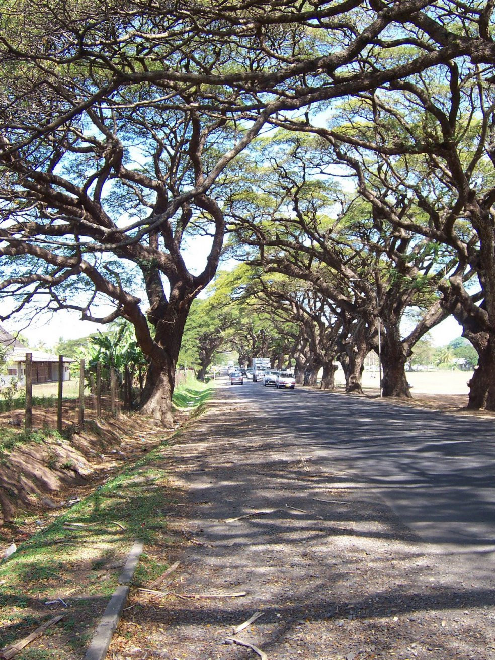 Саншайн Коаст, Вити Леву остров, Вити Леву группа островов, Фиджи, фото № 49597 – фотографии Фиджи