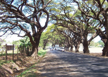 Саншайн Коаст, Вити Леву остров, Вити Леву группа островов, Фиджи, фото № 49597 – фотографии Фиджи