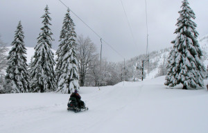 Соришка Планина, Словения, фото № 57562 – фотографии Словении