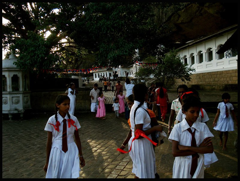 Дамбулла, Шри-Ланка, фото № 51090 – фотографии Шри-Ланки