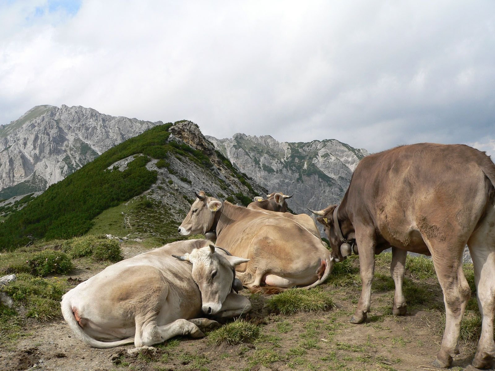 Лихтенштейн, фото № 3744 – фотографии Лихтенштейна