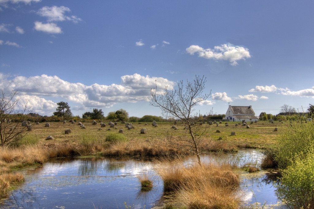 Природа в Карнаке, Франция. Фото 10 – фотографии Франции
