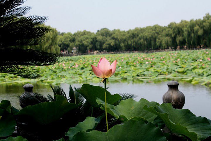 Beihai Park (Beijing) – фотографии Китая
