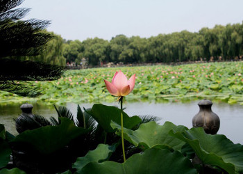 Beihai Park (Beijing) – фотографии Китая