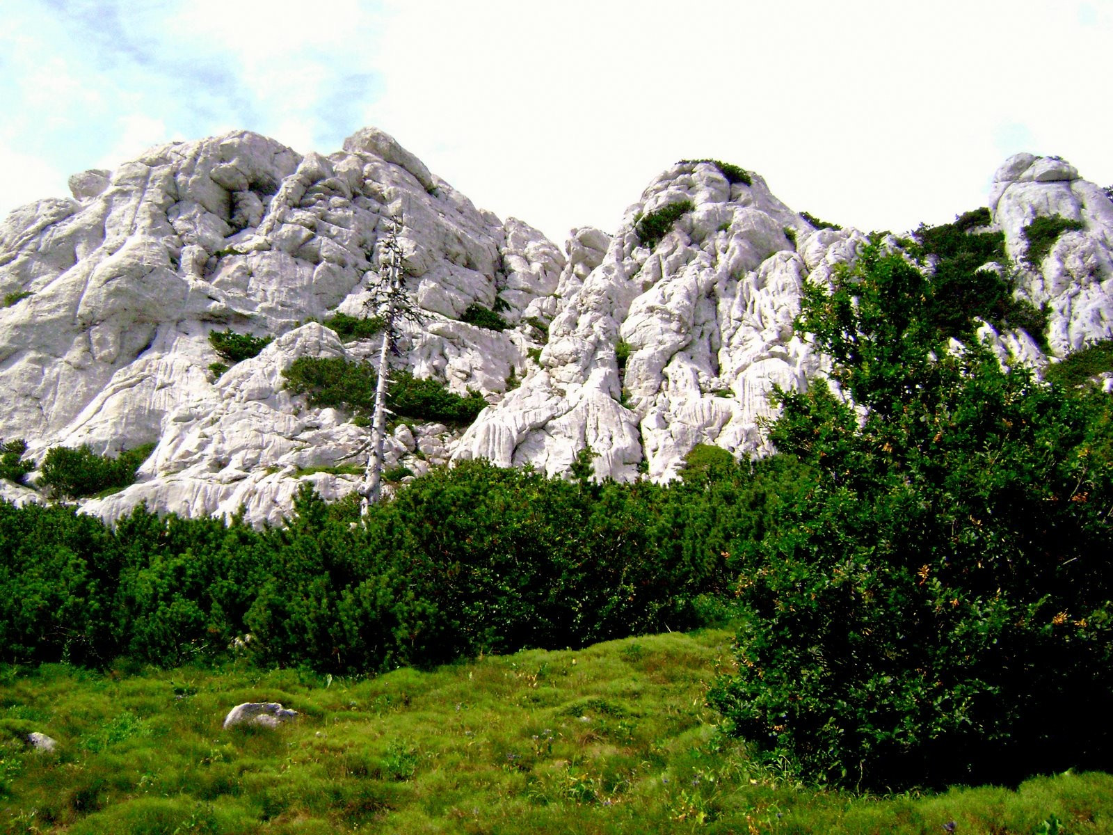 Скала в Северный Велебит Национальный, Хорватия. Фото 5 – фотографии Хорватии