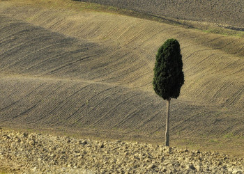 Тоскана, Италия, фото № 77958 – фотографии Италии