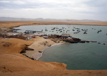 Национальный заповедник Паракас – фотографии Перу