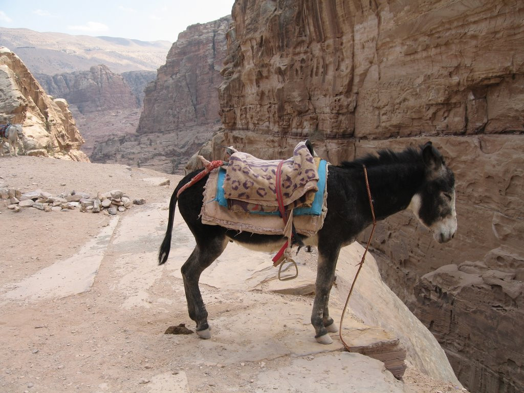 Петра, Иордания, фото № 37299 – фотографии Иордании