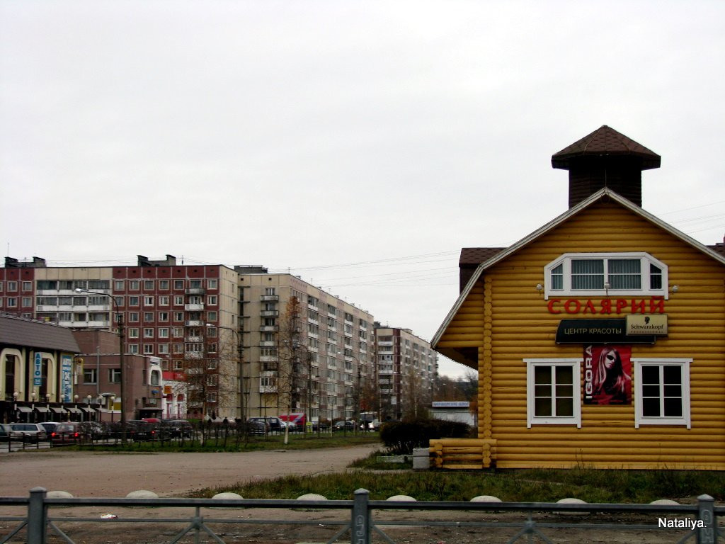 Улица в Колпино, Россия. Фото 5 – фотографии России