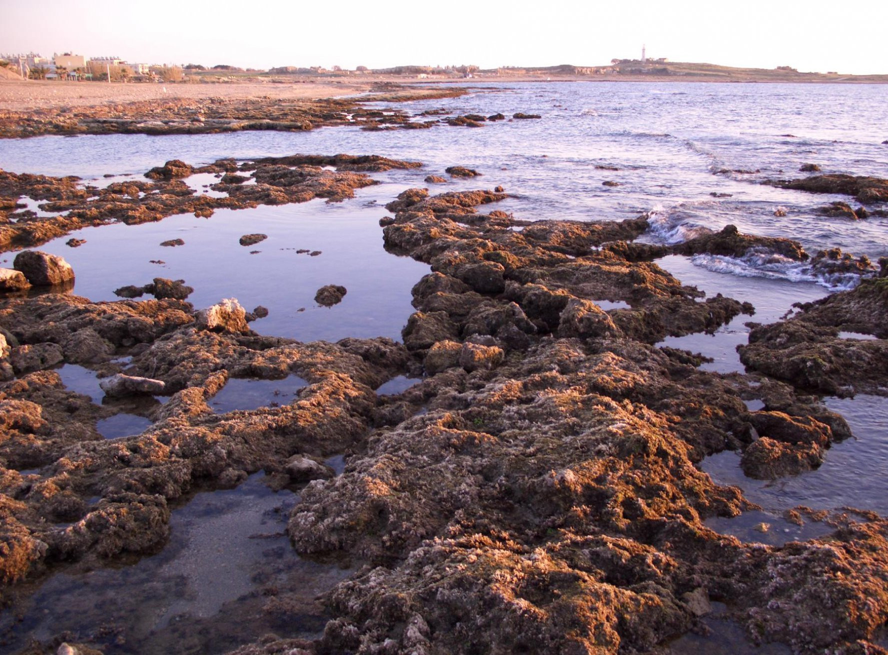 Пафос, Кипр, фото № 38473 – фотографии Кипра