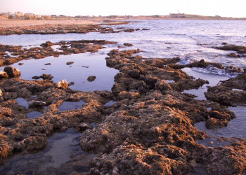 Пафос, Кипр, фото № 38473 – фотографии Кипра