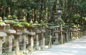 Nara – фотографии Японии