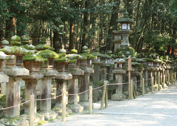 Nara – фотографии Японии