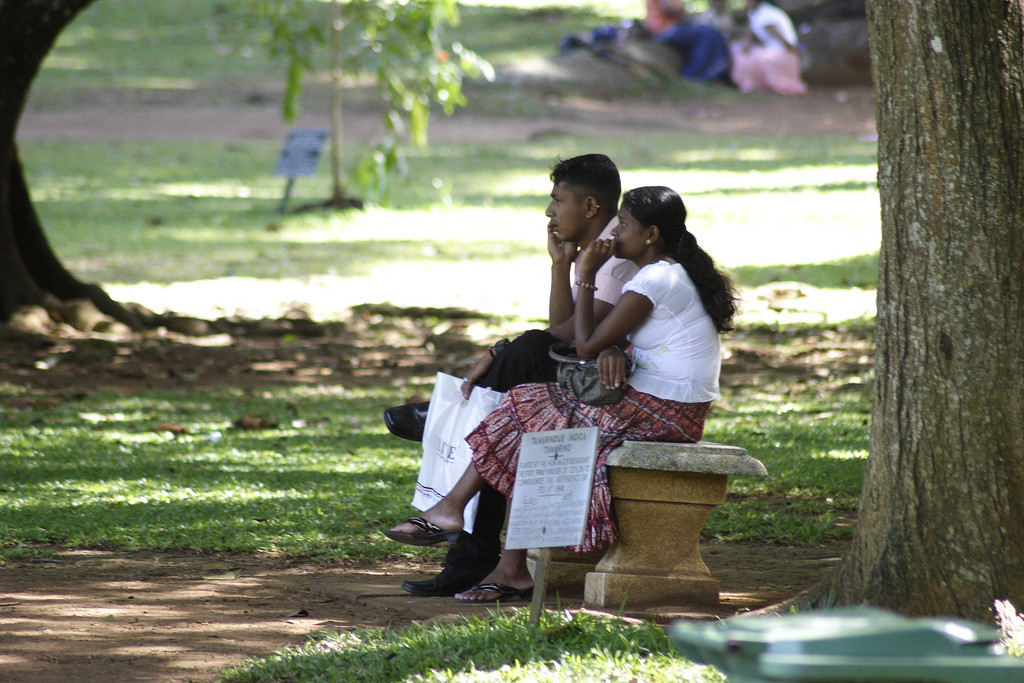 Королевский Ботанический сад, Канди, Шри-Ланка. Фото 3 – фотографии Шри-Ланки