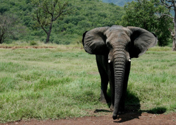 Биопарк Эстрелла (Bioparque Estrella). Фото 1 – фотографии Мексики