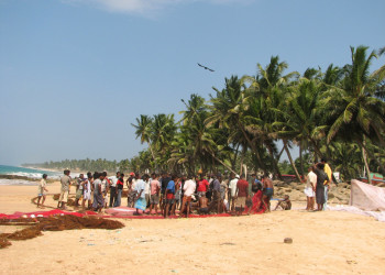 Галле, Шри-Ланка, фото № 50950 – фотографии Шри-Ланки