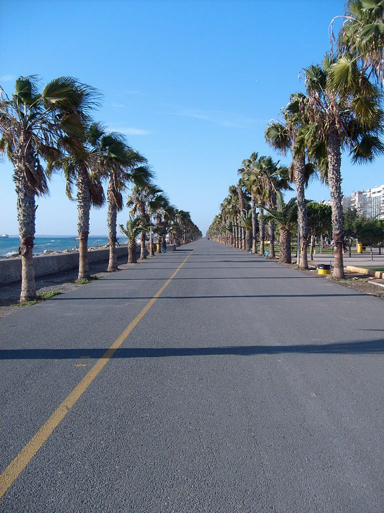 Лимассол, Кипр, фото № 38194 – фотографии Кипра