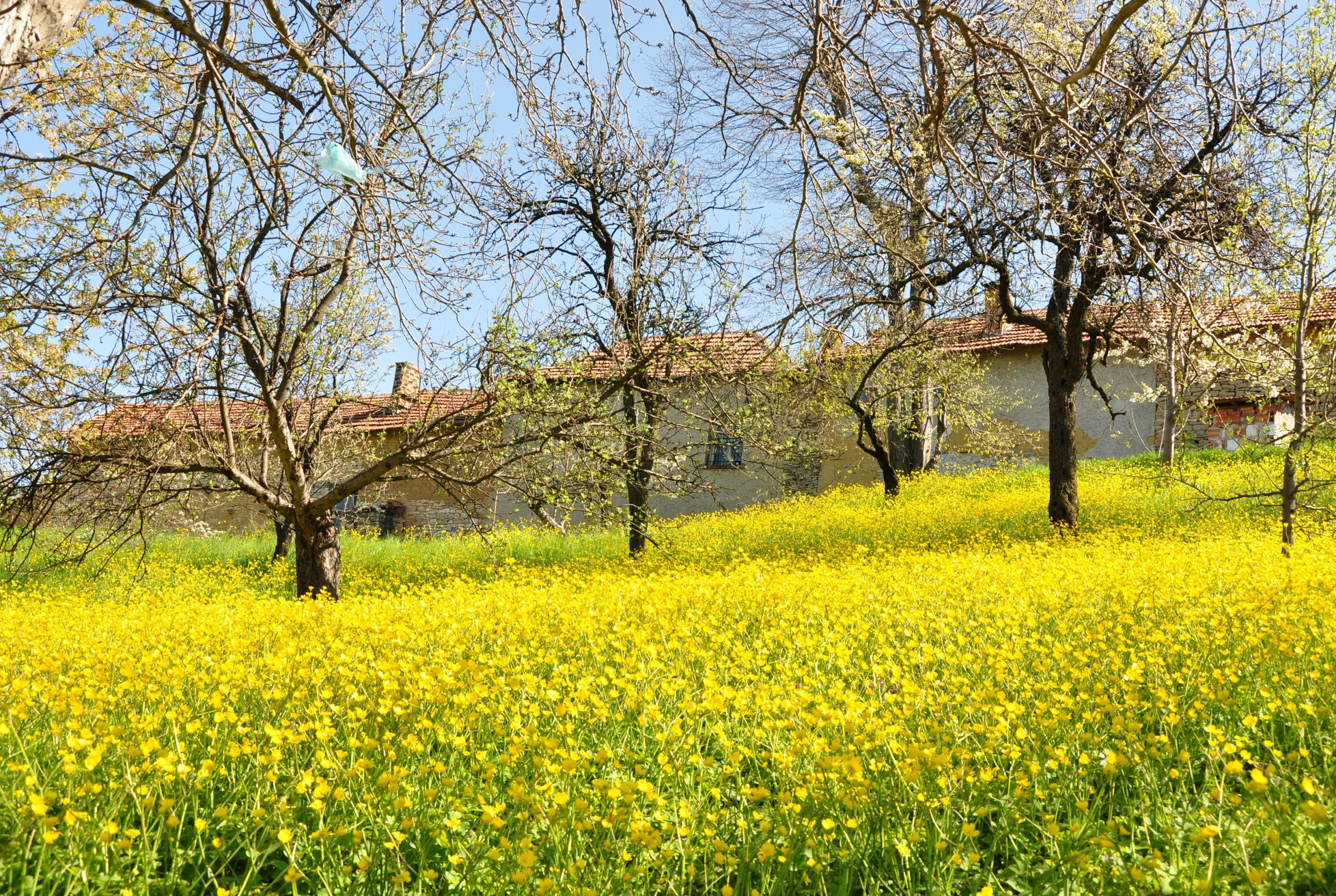 Болгария, фото № 3392 – фотографии Болгарии