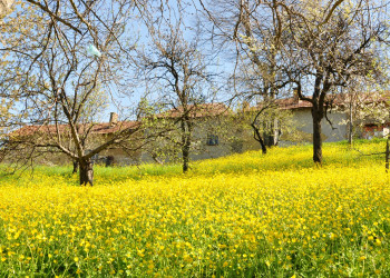 Болгария, фото № 3392 – фотографии Болгарии