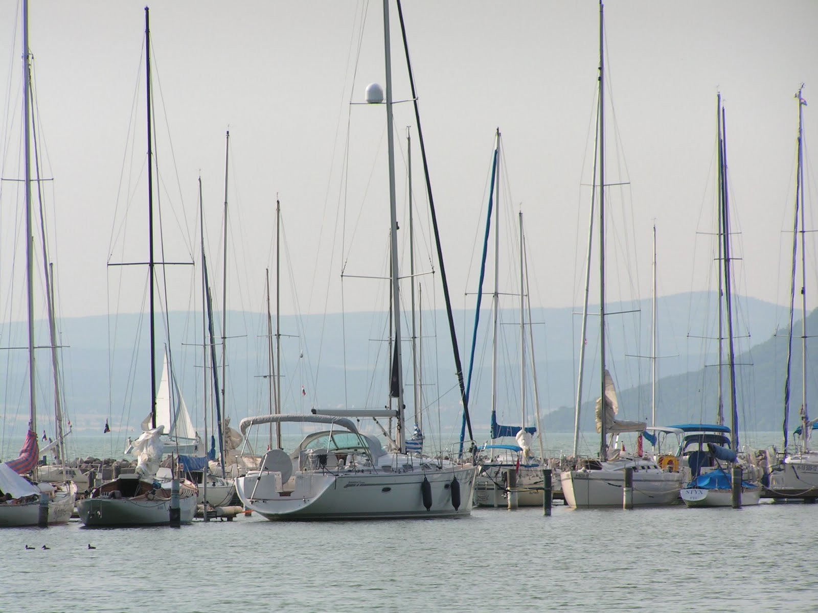 Балатонфёльдвар, Балатон озеро, Венгрия, фото № 69788 – фотографии Венгрии