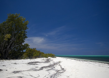 Берега на острове Крукед  Айленд, Багамские острова. Фото 1 – фотографии Багамских островов