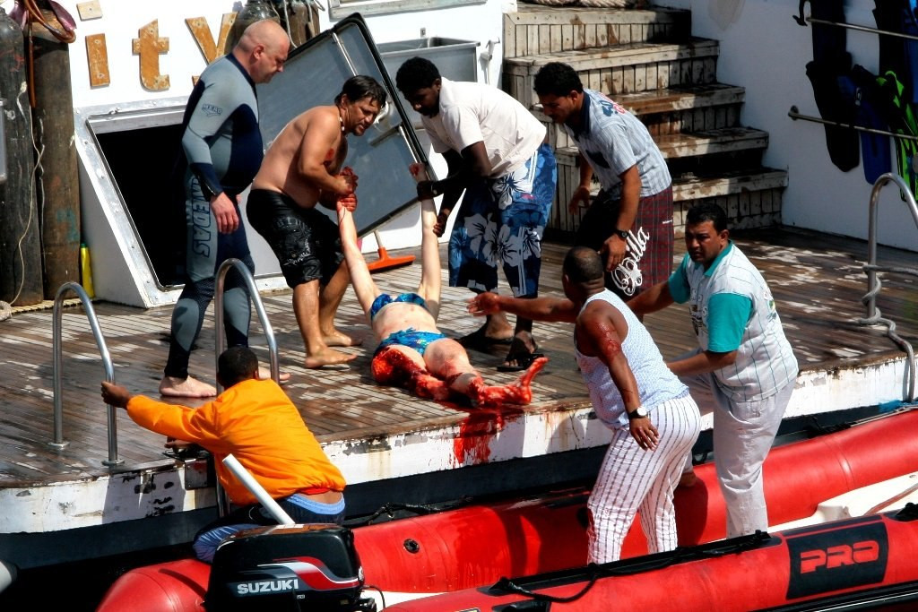 При нападении акулы у побережья Египта погибла туристка – фотографии Египта