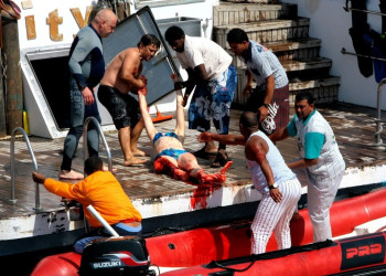 При нападении акулы у побережья Египта погибла туристка – фотографии Египта