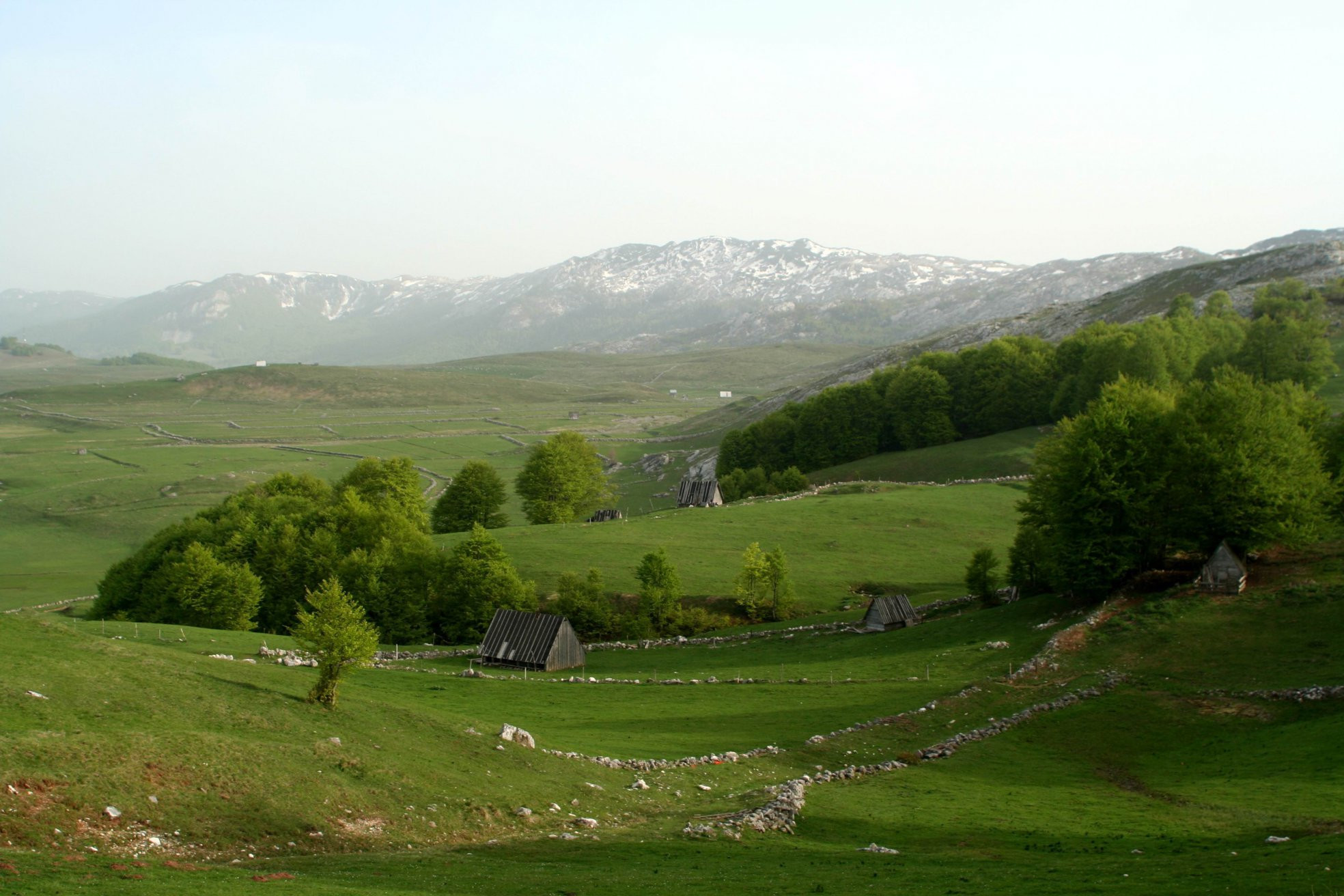 Национальный парк, Черногория. Фото 52 – фотографии Черногории