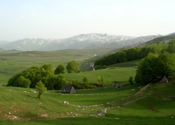 Национальный парк, Черногория. Фото 52 – фотографии Черногории