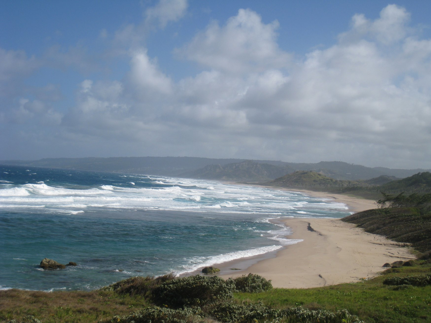 Море в Барбадосе – фотографии Барбадоса