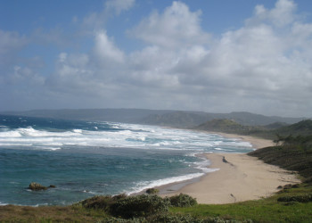 Море в Барбадосе – фотографии Барбадоса