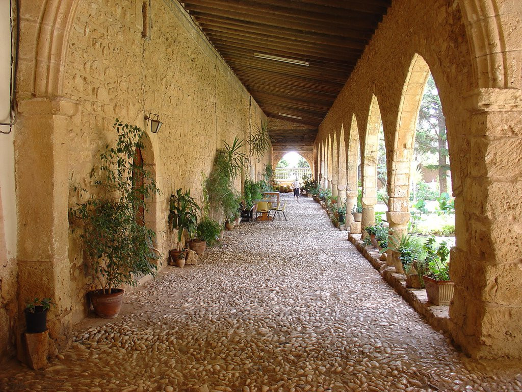 Айя-Напа, Кипр, фото № 37466 – фотографии Кипра