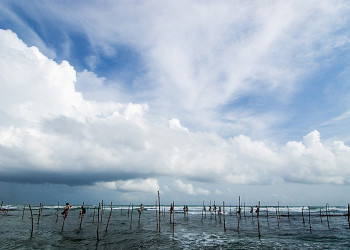 Велигама, Шри-Ланка, фото № 50829 – фотографии Шри-Ланки