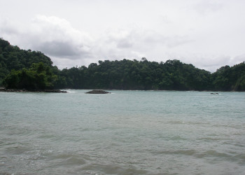 Мануэль Антонио, Пунтаренас провинция, Коста-Рика, фото № 40618 – фотографии Коста-Рики